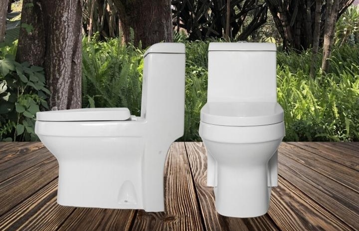 Toilet10